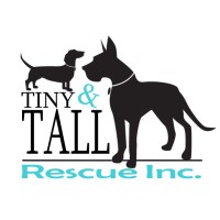 Tiny N Tall Rescue, Inc