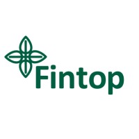Fintop logo - Similar company to Firmnova