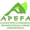 APEFA logo - Similar company to Apefacile.It