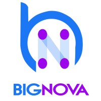 BigNova logo - Similar company to Silak Solutions