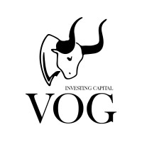 VOG Investing Capital logo - Similar company to Suzugia Limited