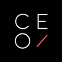 CEOLEVEL logo - Similar company to Fundaproyectos