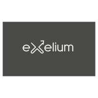 Exelium logo - Similar company to Exelium