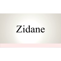 Zidane Recruiters logo - Similar company to Cja Sport