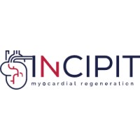 INCIPIT logo - Similar company to Dlogic Europe