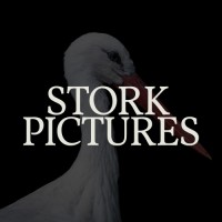 Stork Pictures UK logo - Similar company to Monkey Barrel Comedy Ltd