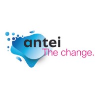 ANTEI Consulting France logo - Similar company to Dfconseil
