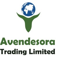 Avendesora Trading Limited logo - Similar company to Paytech Academy
