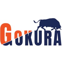 Gokura Systems logo - Similar company to Geniusmind Techknologies