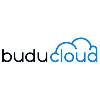 BuduCloud logo - Similar company to Payllion