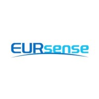 EURSENSE Ltd logo - Similar company to Multidimension Technology