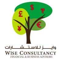 Wise Consultancy logo - Similar company to Premier Consultancy Group