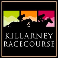 Killarney Racecourse logo - Similar company to Beam