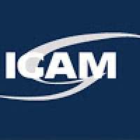 IGAM SC logo - Similar company to Igam Consulting