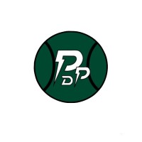PDEPADEL GROUP logo - Similar company to Appleset, S.L.