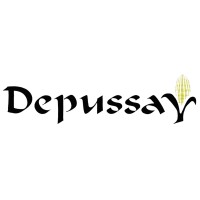 DEPUSSAY logo - Similar company to Groupe David