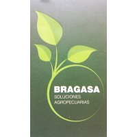 Bragasa logo - Similar company to Camara De Comercio E Industrias Ecuatoriana Croata