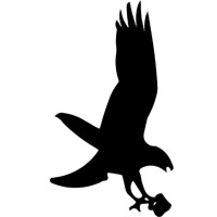Knight Hawk Coal, LLC logo - Similar company to Knight Hawk