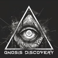 Gnosis Discovery Pty Ltd logo - Similar company to Chief Exploration Drilling