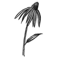 Jacoba Design logo - Similar company to Organic Matters