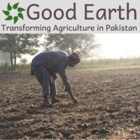Good Earth Pakistan logo - Similar company to Yes Program