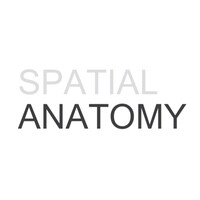 Spatial Anatomy logo - Similar company to Forum Architects