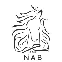 NAB STORE logo - Similar company to Mediaprenr