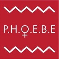 P.H.O.E.B.E Zimbabwe logo - Similar company to Phoebe Project