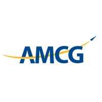 Aviation Management Consulting Group logo - Similar company to Wright Aviation Consulting Llc