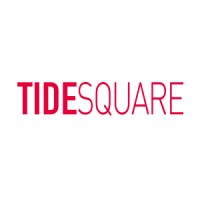 TIDESQUARE logo - Similar company to 데이터팝콘