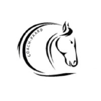 Coach - Paard