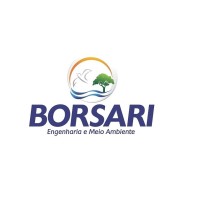 Borsari Engenharia e Meio Ambiente Ltda. logo - Similar company to Ambitop Soluções Ambientais