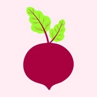 Beetroot Designlab logo - Similar company to Ideoholics