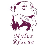 Mylos Rescue logo - Similar company to Akom Management Systems Pvt. Ltd.