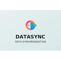 DataSync LLC logo - Similar company to Startup Solutions