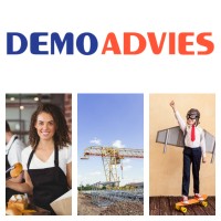 Demo Advies