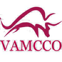 Vaquero Asset Management & Consultancy logo - Similar company to Smart Sweets By Cecilia