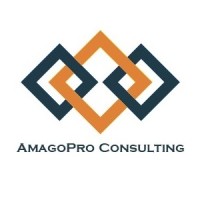 AmagoPro Consulting Private Limited logo - Similar company to Sollys Consulting And Solutions Pvt Ltd