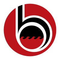 S Bravo Systems logo - Similar company to Qualus Solutions