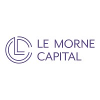 Le Morne Capital Ltd. logo - Similar company to Project Protium