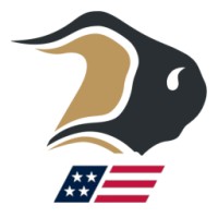 Bison USA logo - Similar company to Dedicated Systems, Inc.