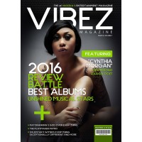 VIBEZ ENTERTAINMENT MAGAZINE logo - Similar company to Hustle Matters®