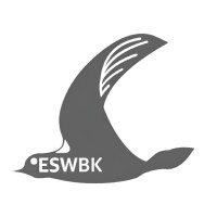 ESWBK STORE logo - Similar company to Sigma Implants Online Store