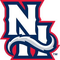 New Hampshire Fisher Cats logo - Similar company to Worcester Red Sox
