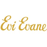 Evi Evane logo - Similar company to Global Web It Solutions