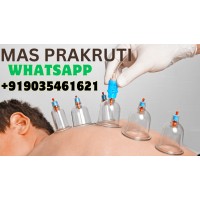 MAS PRAKRUTI WELLNESS CENTER AND INSTITUE logo - Similar company to Educationist