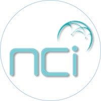 Networkcity Innovations Pvt Ltd logo - Similar company to Indoc Web Solutions Private Limited