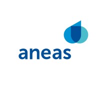ANEAS de México A.C. logo - Similar company to Irh Process Equipment