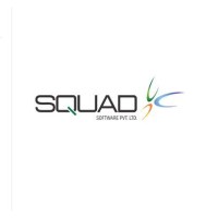 SquadSoft logo - Similar company to Css Consulting
