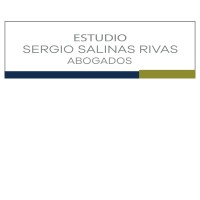 ESTUDIO SERGIO SALINAS RIVAS ABOGADOS logo - Similar company to Plaindes
